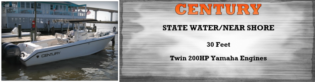 reel threel fishing charters surfside beach tx - century