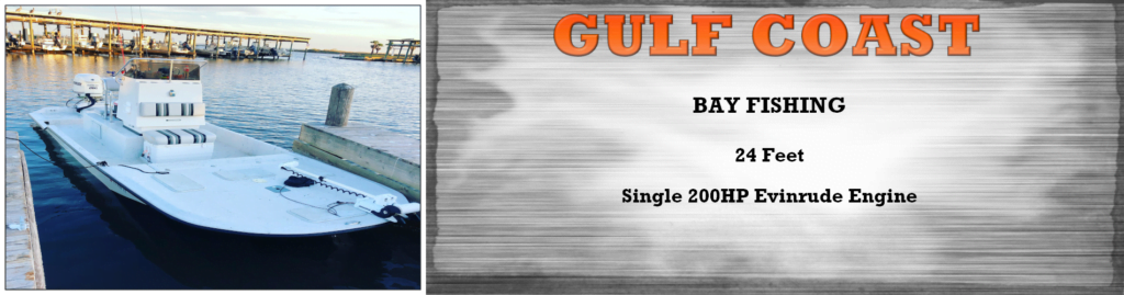 fishing charters in surfside beach texas